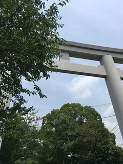 5B50C432-4ADF-46FB-9AA9-C60AAD65D5A9.jpeg