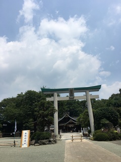 8B50D81B-E4AF-48A8-AE17-2BADB001462D.jpeg